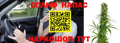мдпв Партизанск