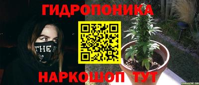 мдпв Партизанск